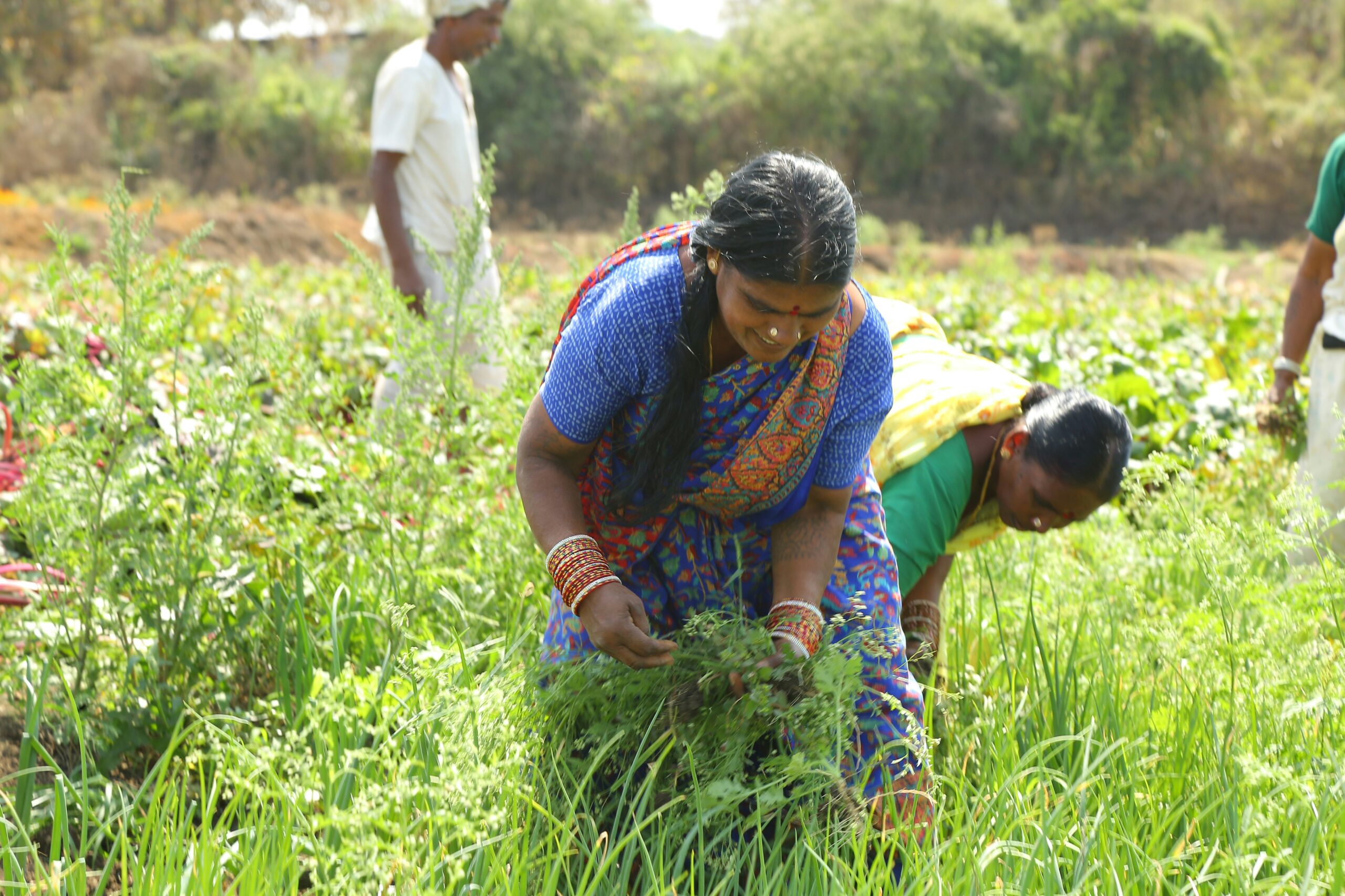 equalstock-ivgoCIyysiw-unsplash